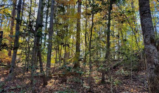 Photo #7 of SOLD property in 124 Monroe Court, Troy, NC 0.6 acres