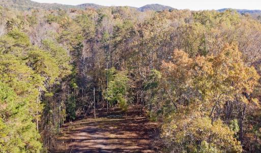 Photo #9 of SOLD property in 124 Monroe Court, Troy, NC 0.6 acres