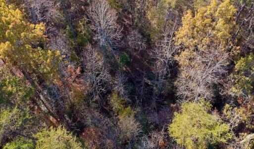 Photo #21 of SOLD property in 124 Monroe Court, Troy, NC 0.6 acres