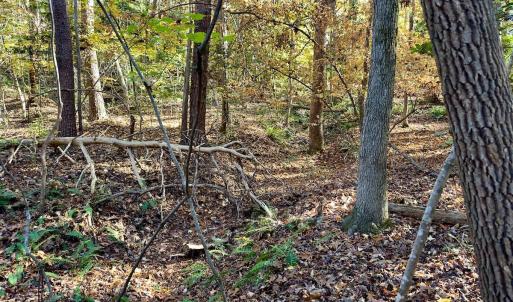 Photo #22 of SOLD property in 124 Monroe Court, Troy, NC 0.6 acres