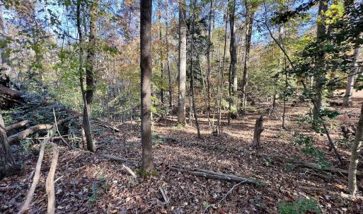 Photo #23 of SOLD property in 124 Monroe Court, Troy, NC 0.6 acres