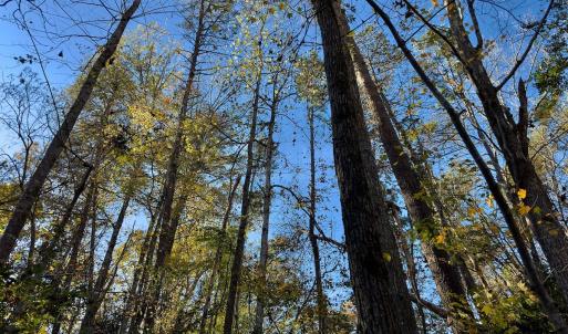 Photo #24 of SOLD property in 124 Monroe Court, Troy, NC 0.6 acres