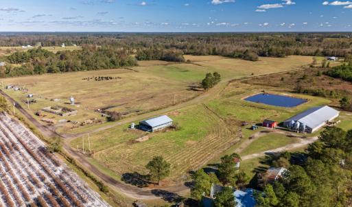 Photo #1 of 750 Sumner Road, Pink Hill, NC 230.0 acres