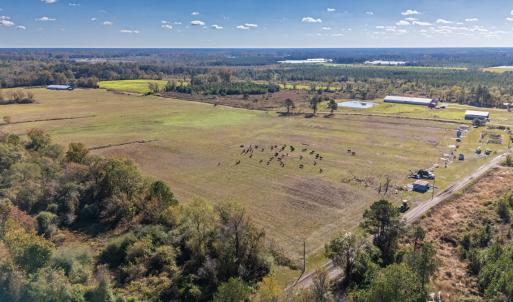 Photo #2 of 750 Sumner Road, Pink Hill, NC 230.0 acres
