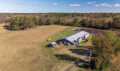 Photo #4 of 750 Sumner Road, Pink Hill, NC 230.0 acres