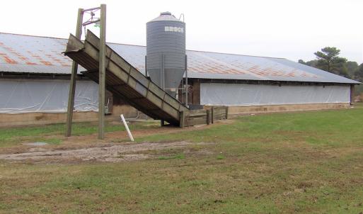Photo #5 of 750 Sumner Road, Pink Hill, NC 230.0 acres