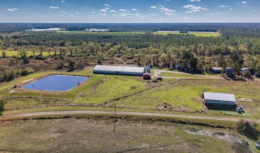 Photo #7 of 750 Sumner Road, Pink Hill, NC 230.0 acres