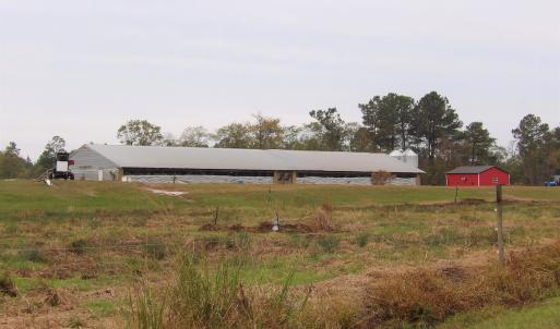 Photo #8 of 750 Sumner Road, Pink Hill, NC 230.0 acres