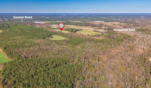 Photo #9 of 750 Sumner Road, Pink Hill, NC 230.0 acres