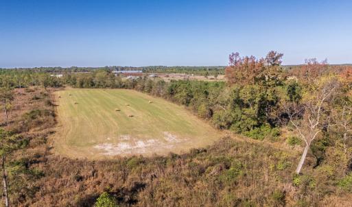 Photo #10 of 750 Sumner Road, Pink Hill, NC 230.0 acres
