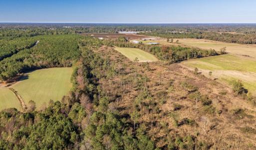 Photo #11 of 750 Sumner Road, Pink Hill, NC 230.0 acres