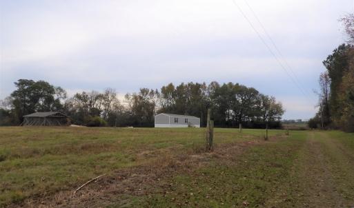 Photo #14 of 750 Sumner Road, Pink Hill, NC 230.0 acres
