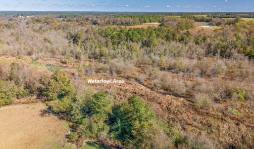 Photo #15 of 750 Sumner Road, Pink Hill, NC 230.0 acres