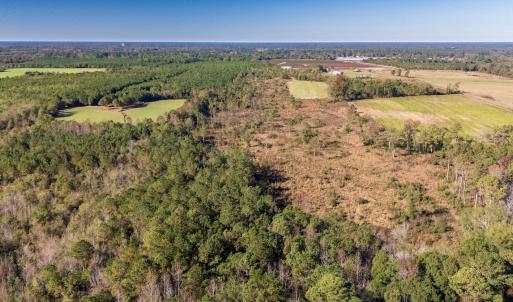 Photo #16 of 750 Sumner Road, Pink Hill, NC 230.0 acres
