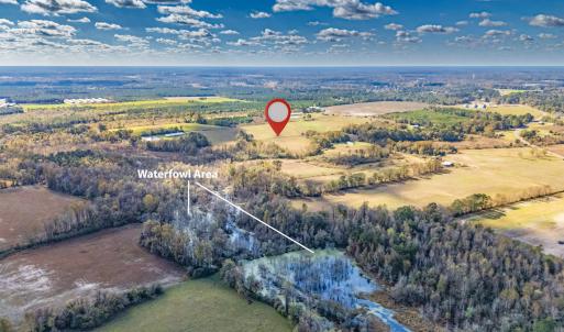 Photo #17 of 750 Sumner Road, Pink Hill, NC 230.0 acres