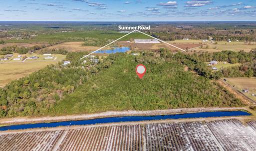 Photo #19 of 750 Sumner Road, Pink Hill, NC 230.0 acres