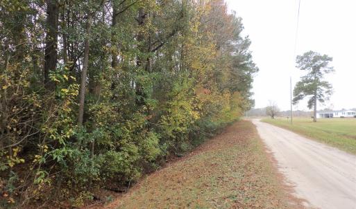 Photo #22 of 750 Sumner Road, Pink Hill, NC 230.0 acres