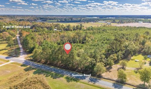 Photo #23 of 750 Sumner Road, Pink Hill, NC 230.0 acres