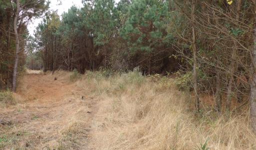 Photo #24 of 750 Sumner Road, Pink Hill, NC 230.0 acres