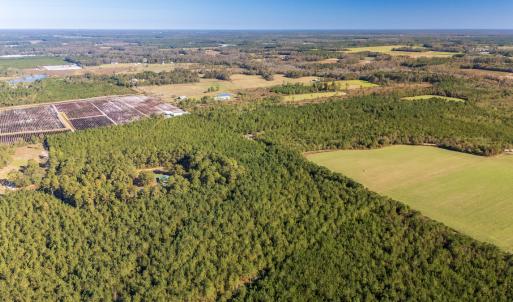 Photo #27 of 750 Sumner Road, Pink Hill, NC 230.0 acres