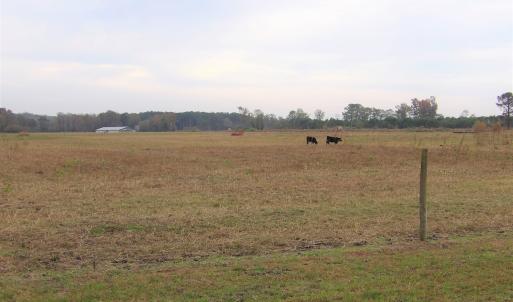 Photo #29 of 750 Sumner Road, Pink Hill, NC 230.0 acres