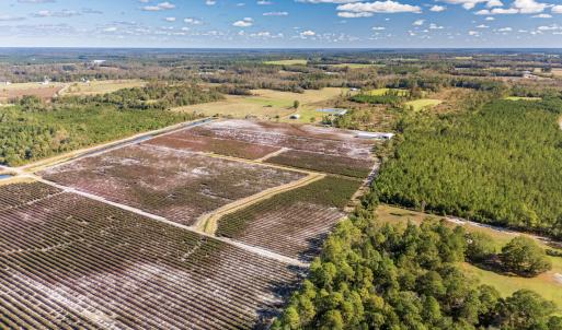 Photo #30 of 750 Sumner Road, Pink Hill, NC 230.0 acres