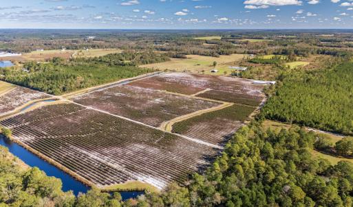 Photo #31 of 750 Sumner Road, Pink Hill, NC 230.0 acres