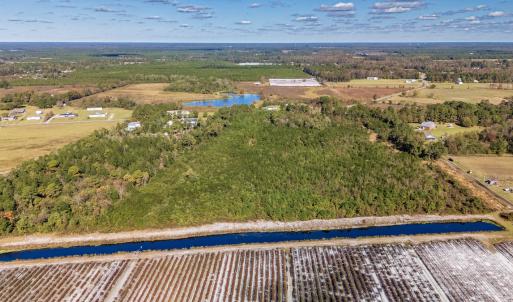 Photo #33 of 750 Sumner Road, Pink Hill, NC 230.0 acres