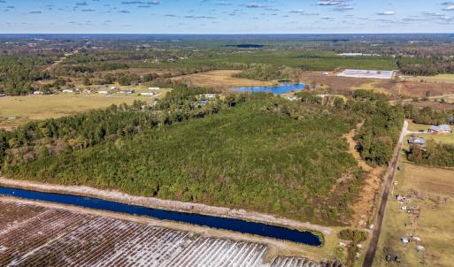 Photo #41 of 750 Sumner Road, Pink Hill, NC 230.0 acres