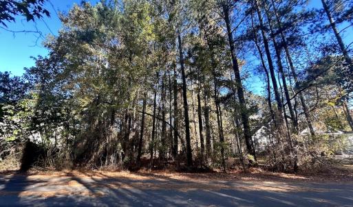 Photo #16 of 85 Meadow Spring Ln, Sandford, NC 0.4 acres