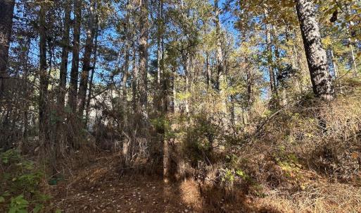 Photo #19 of 85 Meadow Spring Ln, Sandford, NC 0.4 acres