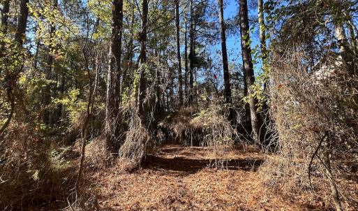 Photo #20 of 85 Meadow Spring Ln, Sandford, NC 0.4 acres