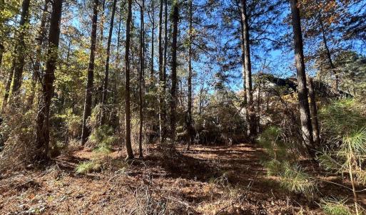Photo #21 of 85 Meadow Spring Ln, Sandford, NC 0.4 acres
