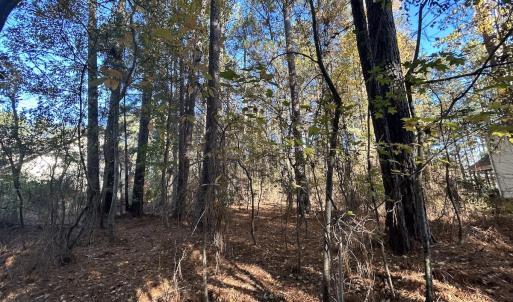 Photo #22 of 85 Meadow Spring Ln, Sandford, NC 0.4 acres