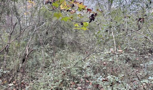 Photo #18 of SOLD property in 2574 Laurinburg Rd, Raeford, NC 2.5 acres