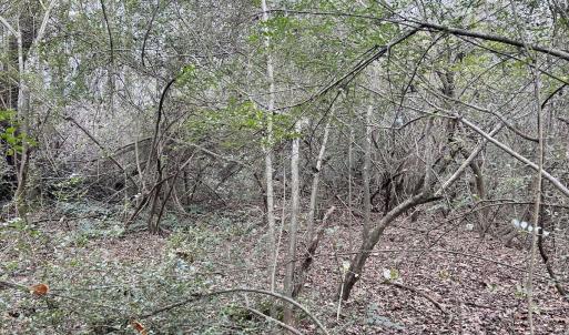 Photo #19 of SOLD property in 2574 Laurinburg Rd, Raeford, NC 2.5 acres
