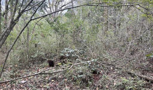 Photo #20 of SOLD property in 2574 Laurinburg Rd, Raeford, NC 2.5 acres