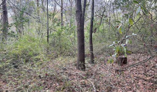 Photo #21 of SOLD property in 2574 Laurinburg Rd, Raeford, NC 2.5 acres