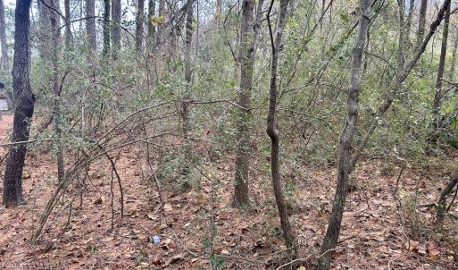 Photo #23 of SOLD property in 2574 Laurinburg Rd, Raeford, NC 2.5 acres