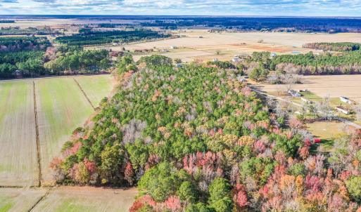 Photo #6 of SOLD property in Off Crooked Run Rd., Elizabeth City, NC 14.7 acres