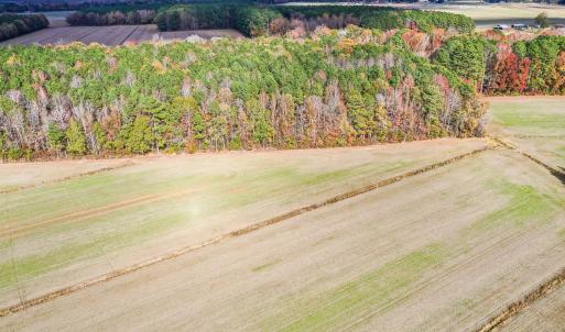 Photo #7 of SOLD property in Off Crooked Run Rd., Elizabeth City, NC 14.7 acres