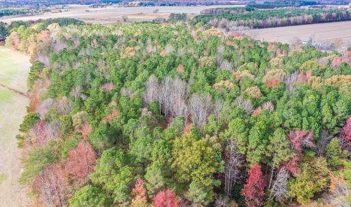 Photo #4 of SOLD property in Off Crooked Run Rd., Elizabeth City, NC 14.7 acres