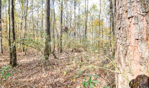 Photo #11 of SOLD property in Off Crooked Run Rd., Elizabeth City, NC 14.7 acres