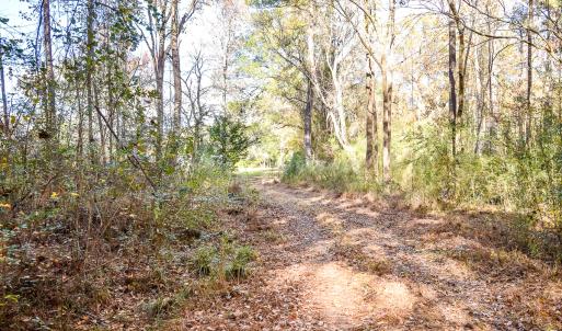 Photo #12 of SOLD property in Off Crooked Run Rd., Elizabeth City, NC 14.7 acres
