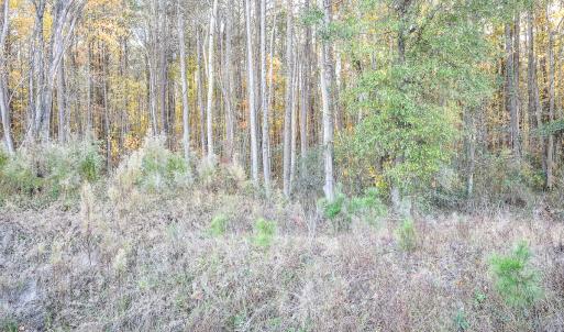 Photo #9 of SOLD property in Off Crooked Run Rd., Elizabeth City, NC 14.7 acres