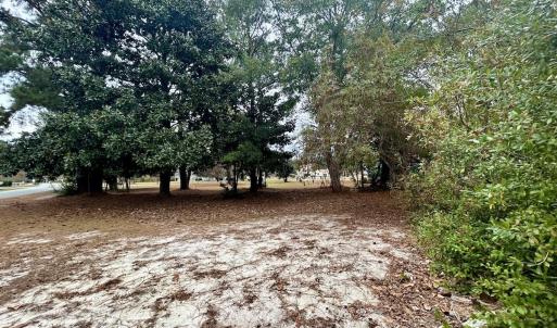 Photo #13 of SOLD property in Off Purple Martin Rd, Harrells, NC 0.3 acres