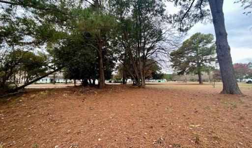 Photo #15 of SOLD property in Off Purple Martin Rd, Harrells, NC 0.3 acres