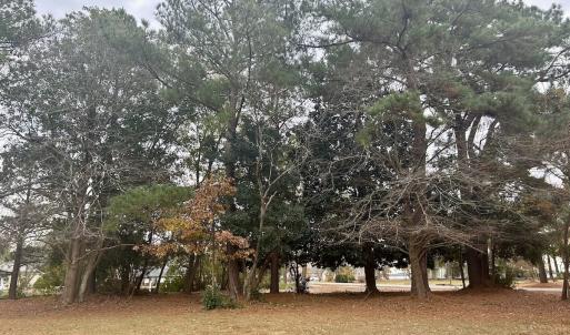 Photo #16 of SOLD property in Off Purple Martin Rd, Harrells, NC 0.3 acres