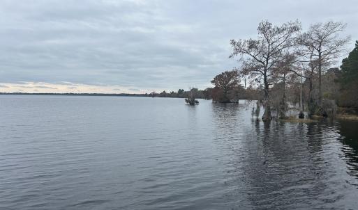 Photo #18 of SOLD property in Off Purple Martin Rd, Harrells, NC 0.3 acres