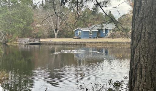 Photo #19 of SOLD property in Off Purple Martin Rd, Harrells, NC 0.3 acres